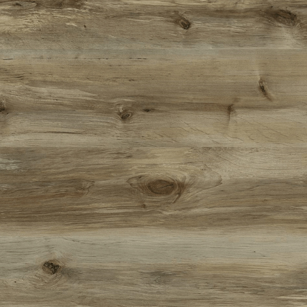 521/СД береза Сандал