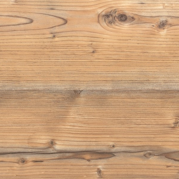 2083/Larix можжевельник