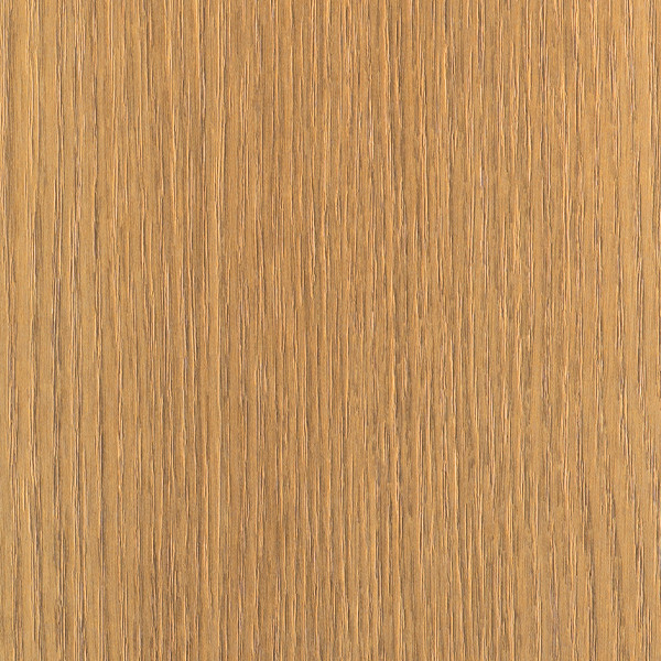 S203/Q дуб прибрежный