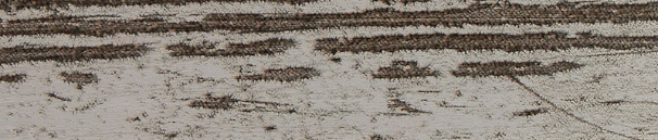 LM63 кромка 1/45 Винтажное дерево