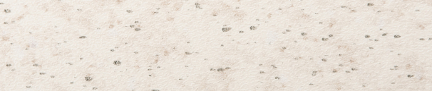 56586 кромка 1,5/42 Семолина бежевая