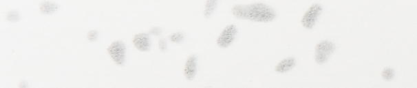 5902 кромка 1,5/42 Белый кристалл глянец