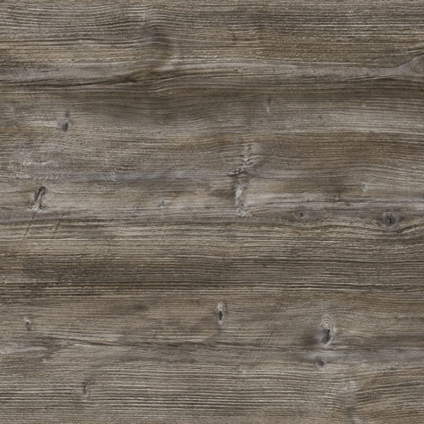 2057 Сосна Пандероса