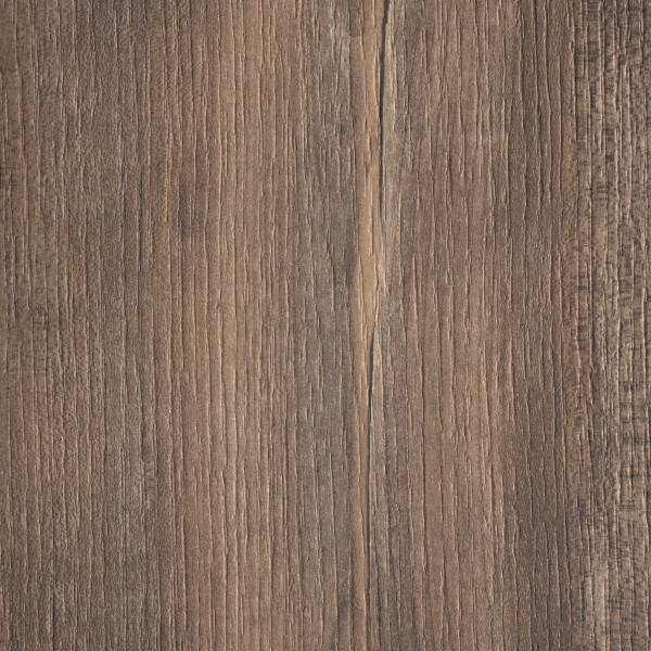 4587/ALV Славянский дуб