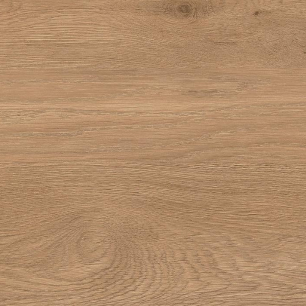 3259/7 Дуб французский