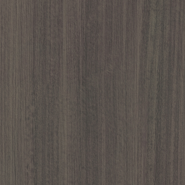 LR25/S Южный кипарис