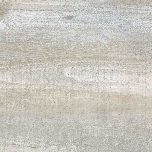 2092 Сосна Онтарио