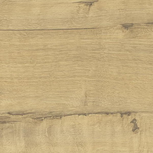 3829/Nw Дуб бунратти