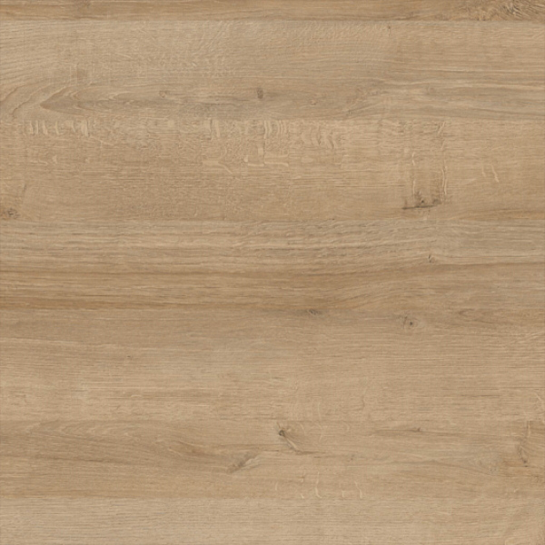 9747/СД Дуб ривьера