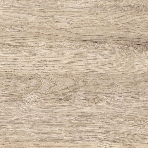 3852/P Дуб корсика