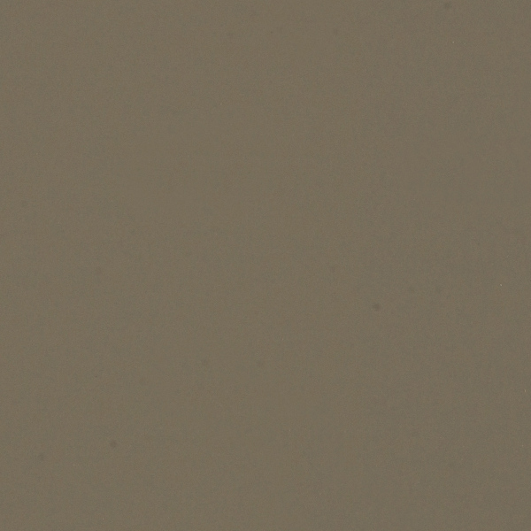 0717 Castoro Ottawa (платиново-серый)